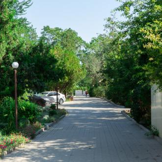 Гостиница Камелия Кафа | Фото 8