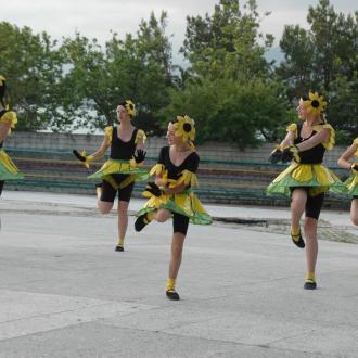 ДОЛ Нива | Фото 9