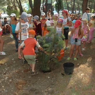 ДОЛ Нива | Фото 20