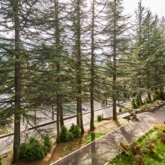 База отдыха Красная поляна | Фото 22