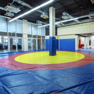 Дворец спорта Юбилейный | Фото 8