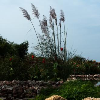 Пансионат Озеро сновидений | Фото 9