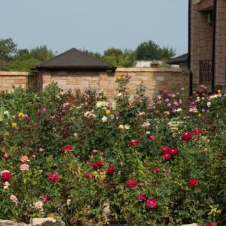 Пансионат Озеро сновидений | Фото 12