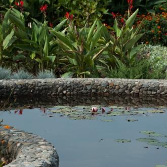 Пансионат Озеро сновидений | Фото 13