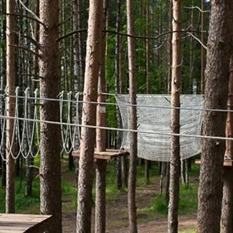 ДОЛ Сосновый бор | Фото 19