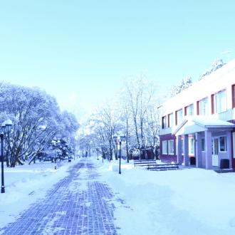 Отель Сосновый Бор | Фото 4