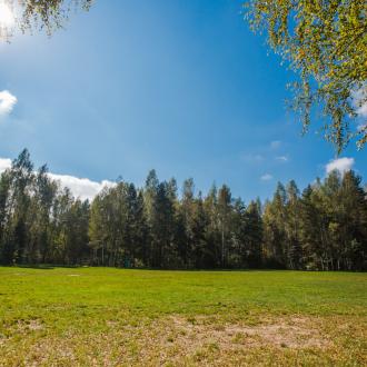 ДОЛ  Березка | Фото 8