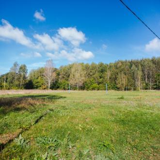 ДОЛ  Березка | Фото 9