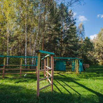 ДОЛ  Березка | Фото 16