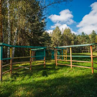 ДОЛ  Березка | Фото 17