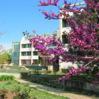 Пансионат Заря | Фото 3