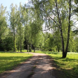 Детский оздоровительный лагерь Ритм | Фото 16