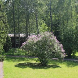 Детский оздоровительный лагерь Ритм | Фото 18