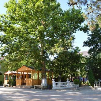 Спортивная база Спарта Спорт | Фото 15