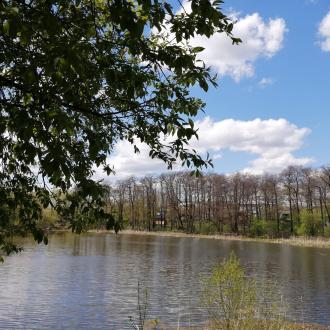 Санаторий Озёры | Фото 6