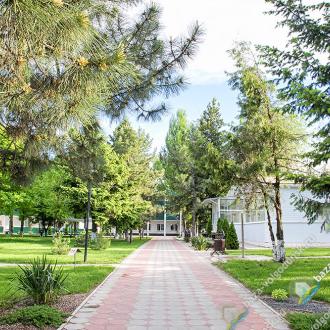 База отдыха Донская волна | Фото 3