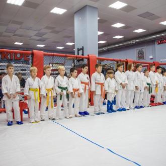 Спортивный комплекс Белые столбы | Фото 15