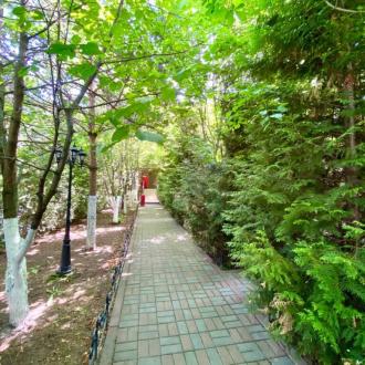 Спортивный комплекс Белые столбы | Фото 3