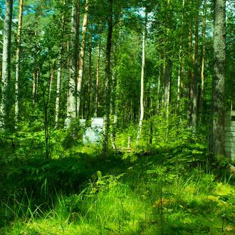 Загородный комплекс "Коробицыно-Каскад" | Фото 13