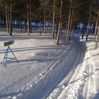 Парк-отель Спасское | Фото 11