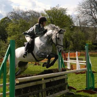 Гостевой дом Три медведя | Фото 11