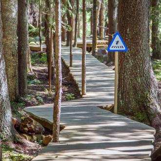 База отдыха Илоранта | Фото 13