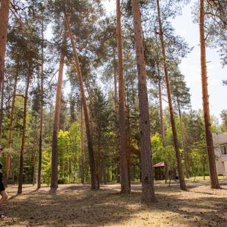 Парк-отель Сосновый бор | Фото 4