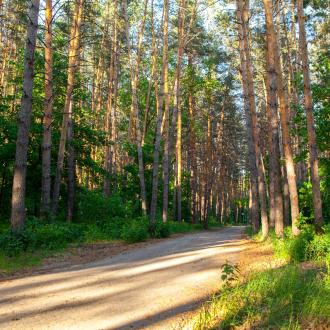 База отдыха Голубая гавань | Фото 4