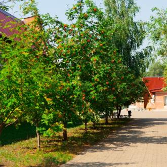 База отдыха Стержень | Фото 8