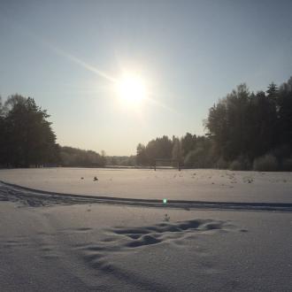 Санаторий Колос | Фото 3