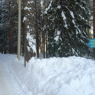 Санаторий Колос | Фото 4