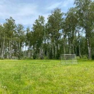 Парк-отель Светлое озеро | Фото 3