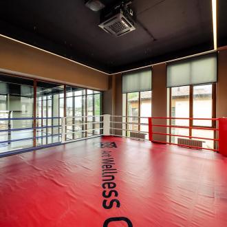 Парк-отель Art Village | Фото 4