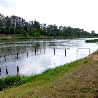 Центр активного отдыха Березки | Фото 8