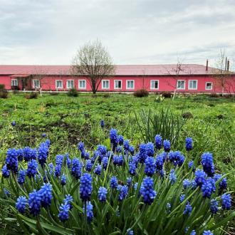 Спортивно-оздоровительный комплекс Княжьи Дали | Фото 5