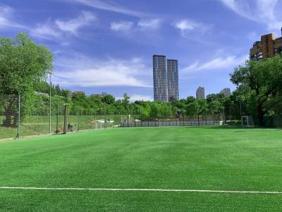 Спортивная площадка Олимп арена