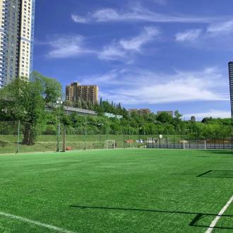 Спортивная площадка Олимп арена | Фото 2