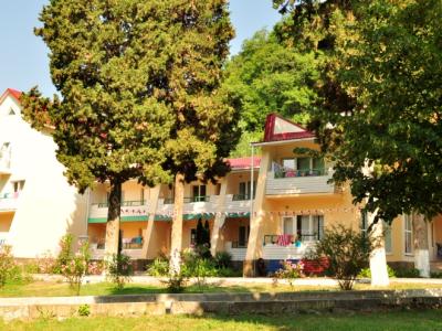 Детский оздоровительный лагерь Экспресс Солоники