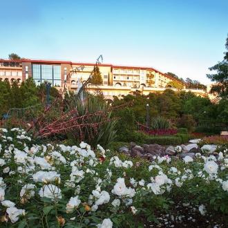 Санаторий Одиссея | Фото 31