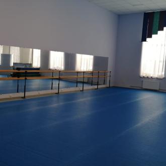 Ледовая арена Н. А. Петрусевой | Фото 9