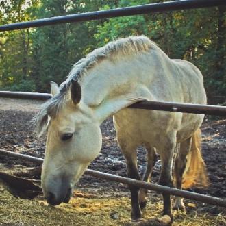 Пансионат Дружба | Фото 16