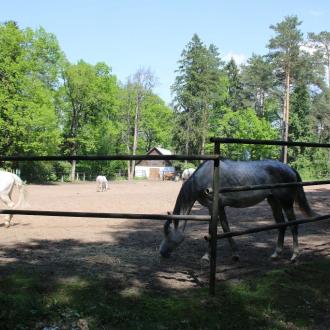 Пансионат Дружба | Фото 17