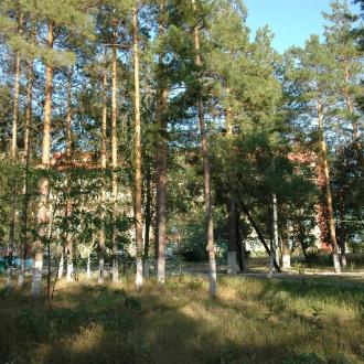 Санаторий Качалинский | Фото 4