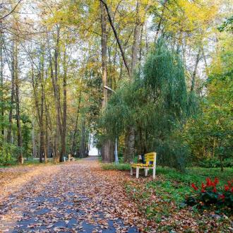 Санаторий им. Цюрупы | Фото 9