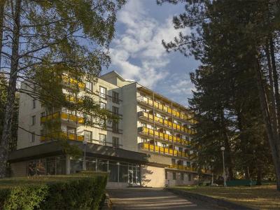 Санаторий Пикет