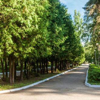 Санаторий Васильевский | Фото 3