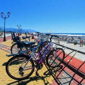 Планета Чемпионов | Фото 6