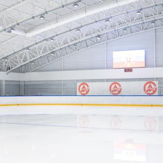 АПИА АРЕНА | Фото 4