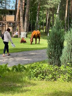 Санаторий Лесная опушка | Фото 9