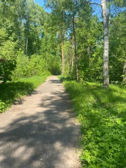 Детский Дом Отдыха Непецино | Фото 24